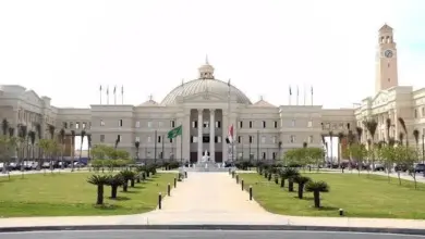جامعة القاهرة الأهلية 2026
